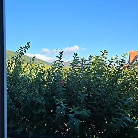 Le Petit Bredele Kintzheim